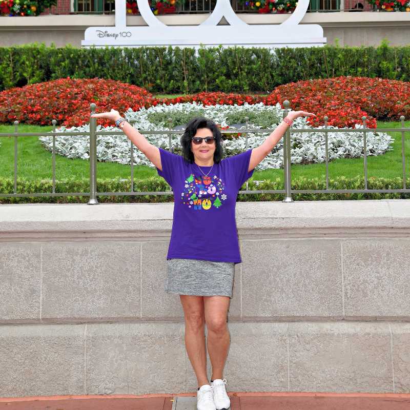 2 - Disney Vacation Trips
