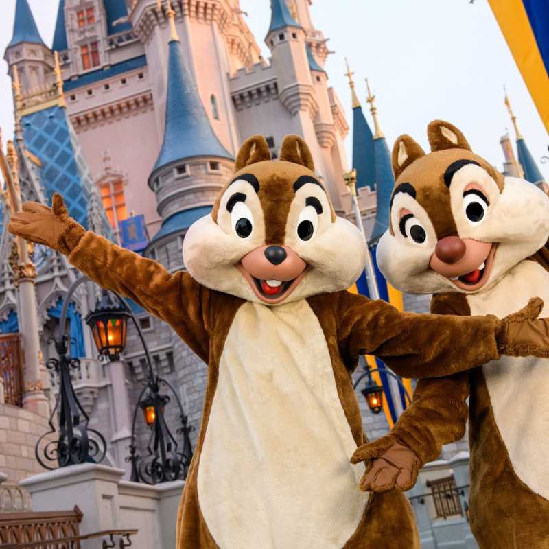 3 - Disney Vacation Trips